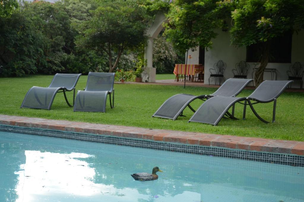 Susana Just Boutique Hotel Vicente López Kültér fotó